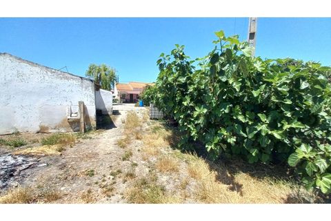 Villa i Palmela, Setubal, Palmela - € 680.000 | Ref: CC_MORI_18192 - foto 6