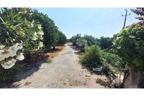 Villa i Palmela, Setubal, Palmela - € 680.000 | Ref: CC_MORI_18192 - foto 7