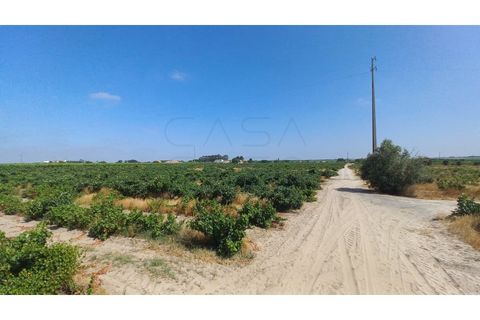 Villa i Palmela, Setubal, Palmela - € 680.000 | Ref: CC_MORI_18192 - foto 16