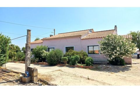 Villa i Palmela, Setubal, Palmela - € 680.000 | Ref: CC_MORI_18192 - foto 18