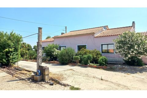 Villa i Palmela, Setubal, Palmela - € 680.000 | Ref: CC_MORI_18192 - foto 20