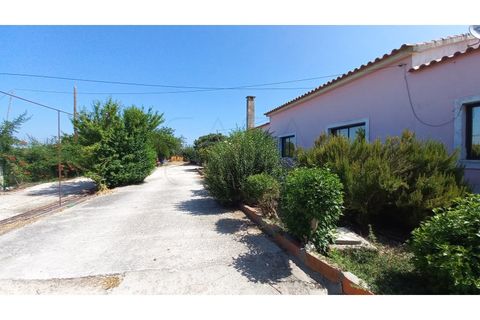 Villa i Palmela, Setubal, Palmela - € 680.000 | Ref: CC_MORI_18192 - foto 21