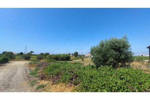 Villa i Palmela, Setubal, Palmela - € 680.000 | Ref: CC_MORI_18192 - foto 22