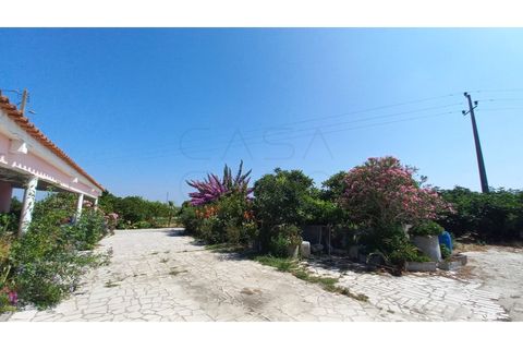 Villa i Palmela, Setubal, Palmela - € 680.000 | Ref: CC_MORI_18192 - foto 24