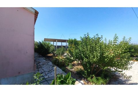 Villa i Palmela, Setubal, Palmela - € 680.000 | Ref: CC_MORI_18192 - foto 28