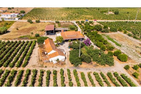 Villa i Palmela, Setubal, Palmela - € 680.000 | Ref: CC_MORI_18192 - foto 1