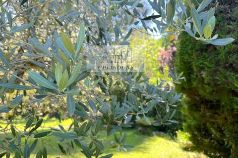 Villa a Vejano, Viterbo, Vejano - € 173.000 | Ref: 90224 - foto 45