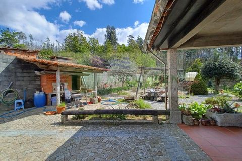 Villa i Sever do Vouga, Aveiro, Sever do Vouga - € 300.000 | Ref: CAS_1766 - foto 19