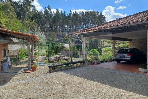 Villa i Sever do Vouga, Aveiro, Sever do Vouga - € 300.000 | Ref: CAS_1766 - foto 20