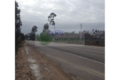 Helårsgrund i Agueda, Aveiro, Agueda - € 75.000 | Ref: TER_785 - foto 2