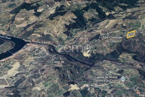 Terra a Sabrosa, Vila Real, Sabrosa - € 75.000 | Ref: ZMPT579693 - foto 15