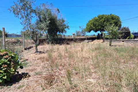 Villa i Seia, Guarda, Seia - € 260.000 | Ref: 382250075 - foto 7