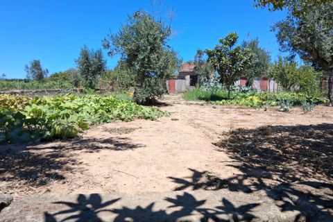 Villa i Seia, Guarda, Seia - € 260.000 | Ref: 382250075 - foto 9