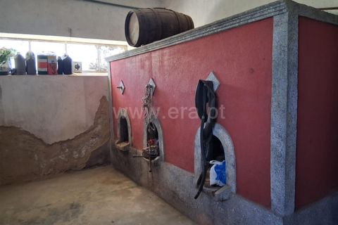 Villa i Seia, Guarda, Seia - € 260.000 | Ref: 382250075 - foto 13
