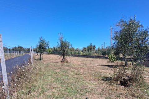 Villa i Seia, Guarda, Seia - € 260.000 | Ref: 382250075 - foto 19