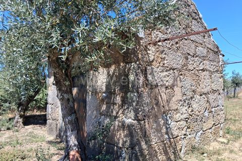 Villa i Seia, Guarda, Seia - € 260.000 | Ref: 382250075 - foto 22