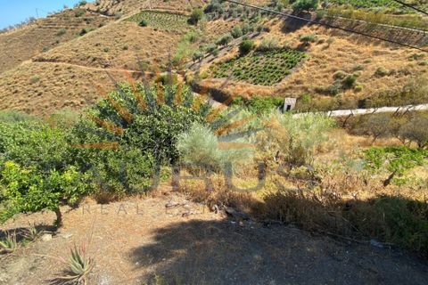 Cortijo i Sedella, Malaga, Sedella - € 200 000 | Ref: AB106 - foto 15