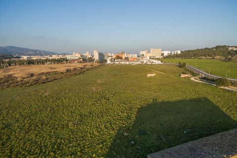 Terra a Magalluf, Mallorca, Magalluf - € 4.800.000 | Ref: 53013 - foto 2