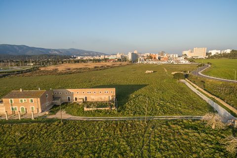 Terra a Magalluf, Mallorca, Magalluf - € 4.800.000 | Ref: 53013 - foto 6