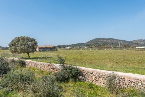 Terra a Magalluf, Mallorca, Magalluf - € 4.800.000 | Ref: 53013 - foto 10