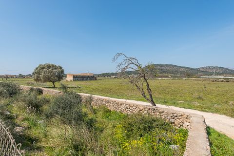 Terra a Magalluf, Mallorca, Magalluf - € 4.800.000 | Ref: 53013 - foto 11