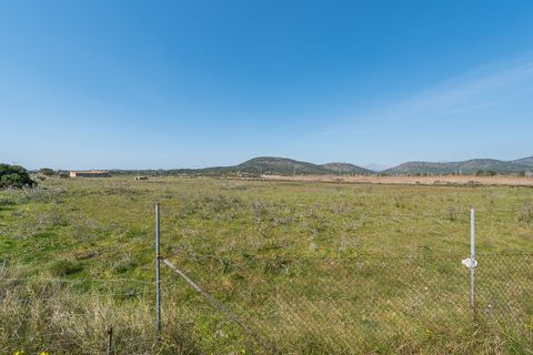 Terra a Magalluf, Mallorca, Magalluf - € 4.800.000 | Ref: 53013 - foto 12