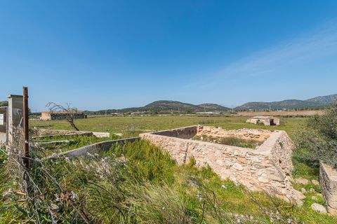 Terra a Magalluf, Mallorca, Magalluf - € 4.800.000 | Ref: 53013 - foto 13