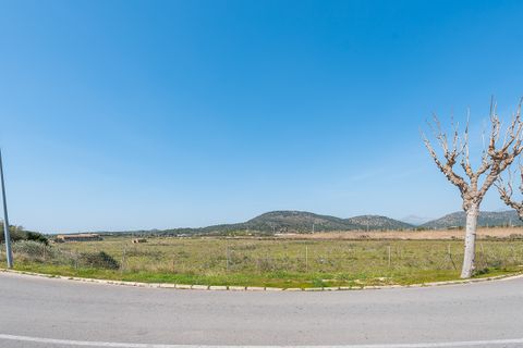 Terra a Magalluf, Mallorca, Magalluf - € 4.800.000 | Ref: 53013 - foto 14