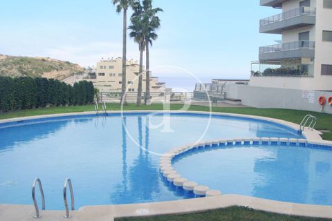 Leilighet i Elche, Alicante, Elche - € 365 000 | Ref: VV2508012 - foto 31