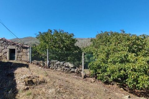 Byhus i Penedono, Viseu, Penedono - € 75.000 | Ref: 147078 - foto 14