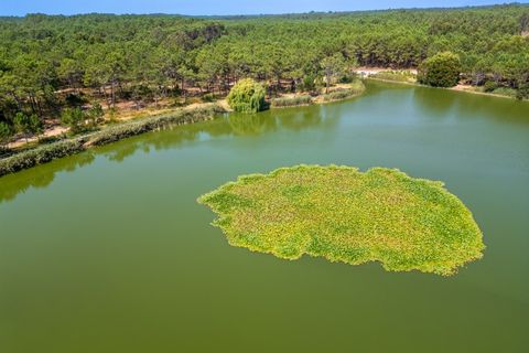 Villa a Pataias, Leiria, Pataias - € 1.882.000 | Ref: 082/2025.LS - foto 28