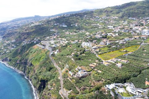 Villa i Calheta, Madeira, Calheta - € 1.850.000 | Ref: C0447-00172 - foto 2