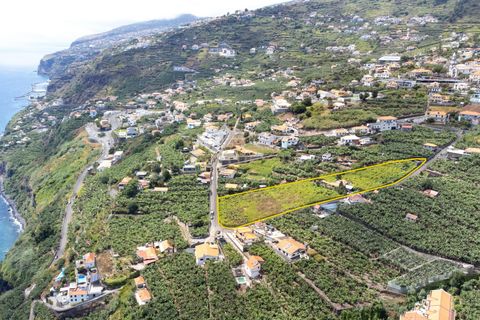 Villa i Calheta, Madeira, Calheta - € 1.850.000 | Ref: C0447-00172 - foto 4