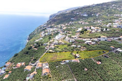 Villa i Calheta, Madeira, Calheta - € 1.850.000 | Ref: C0447-00172 - foto 5