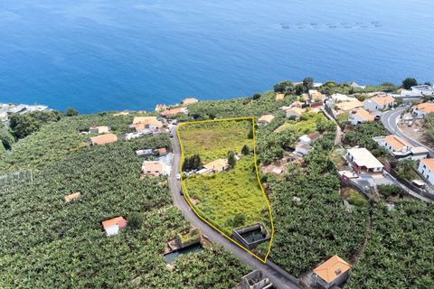 Villa i Calheta, Madeira, Calheta - € 1.850.000 | Ref: C0447-00172 - foto 6