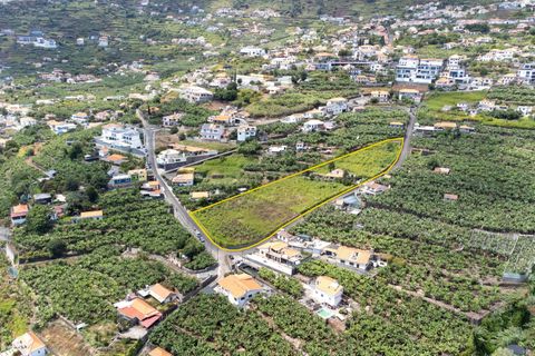 Villa i Calheta, Madeira, Calheta - € 1.850.000 | Ref: C0447-00172 - foto 10