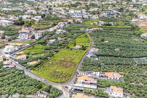 Villa i Calheta, Madeira, Calheta - € 1.850.000 | Ref: C0447-00172 - foto 12