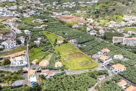 Villa i Calheta, Madeira, Calheta - € 1.850.000 | Ref: C0447-00172 - foto 13