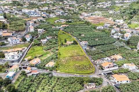 Villa i Calheta, Madeira, Calheta - € 1.850.000 | Ref: C0447-00172 - foto 18