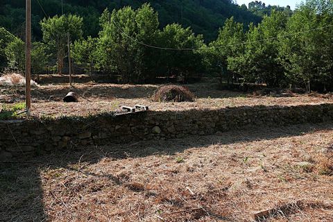 Landejendom i Apricale, Imperia, Apricale - € 268.000 | Ref: 86126495 - foto 2