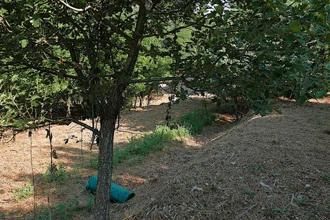 Landejendom i Apricale, Imperia, Apricale - € 268.000 | Ref: 86126495 - foto 4
