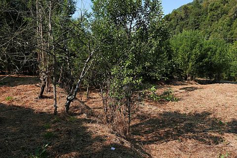 Landejendom i Apricale, Imperia, Apricale - € 268.000 | Ref: 86126495 - foto 11