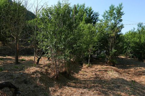 Landejendom i Apricale, Imperia, Apricale - € 268.000 | Ref: 86126495 - foto 12