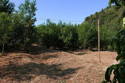 Landejendom i Apricale, Imperia, Apricale - € 268.000 | Ref: 86126495 - foto 13
