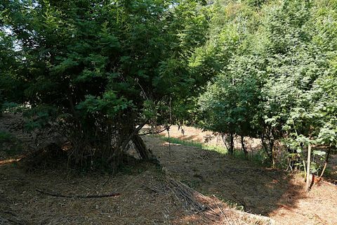 Landejendom i Apricale, Imperia, Apricale - € 268.000 | Ref: 86126495 - foto 7