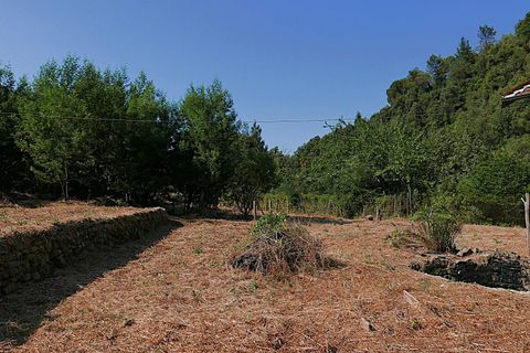 Landejendom i Apricale, Imperia, Apricale - € 268.000 | Ref: 86126495 - foto 24