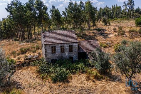 Byhus i Mangualde, Viseu, Mangualde - € 99.950 | Ref: 145848 - foto 14