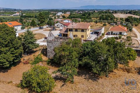 Byhus i Mangualde, Viseu, Mangualde - € 99.950 | Ref: 145848 - foto 12