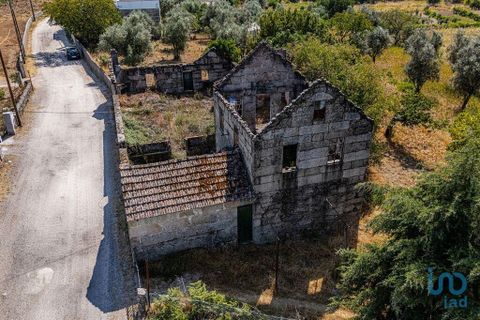 Byhus i Mangualde, Viseu, Mangualde - € 99.950 | Ref: 145848 - foto 10