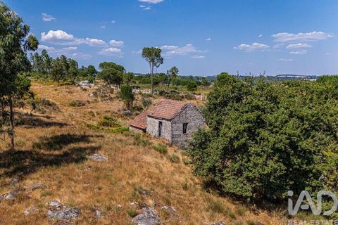 Byhus i Mangualde, Viseu, Mangualde - € 99.950 | Ref: 145848 - foto 17